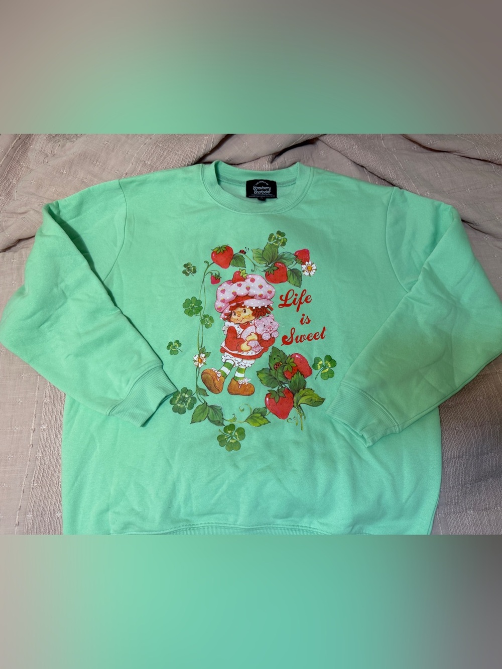 Strawberry Shortcake Crewneck- XL